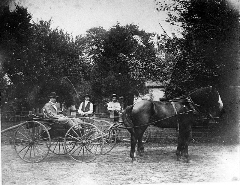 Horse and buggy with people | Harry S. Truman